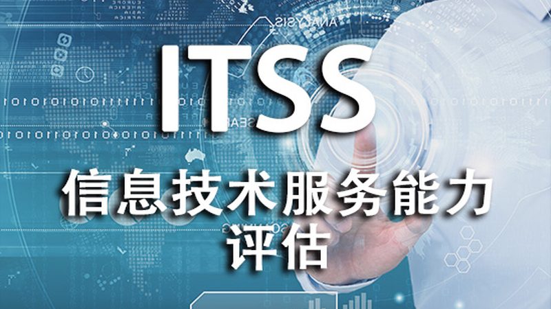 成都it咨询代理服务